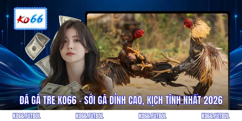 Đá gà tre