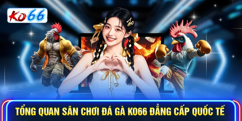 Tổng quan sân chơi Đá gà KO66 đẳng cấp quốc tế